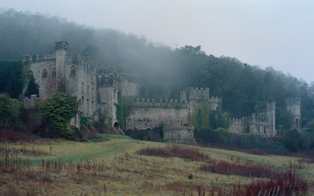 Castle and Forrest1